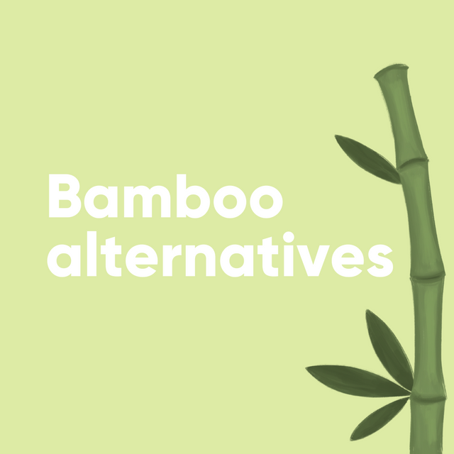 Bamboo Alternatives